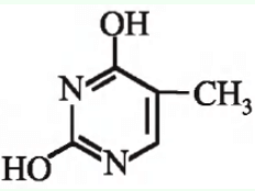 Which of the following structures represents thymine