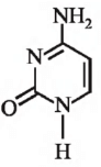 Which of the following structures represents thymine