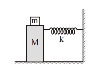 a horizontal spring which is fixed on one side to a rigid support