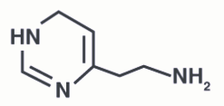 Histamine stimulates the secretion of pepsin and hydrochloric acid