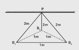 Three identical charged balls each of charge 2 C are suspended from a common point P
