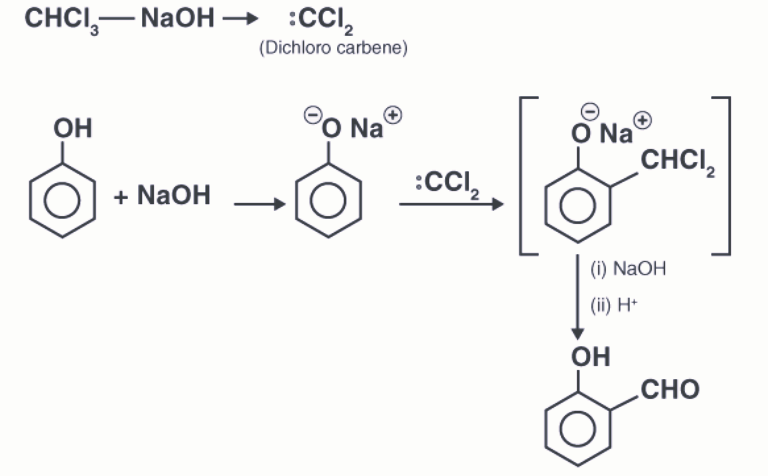 Reaction mechanism of hydrocarbons