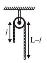 Uniform metal chain of mass m and length ‘L’ passes over a massless and frictionless pully