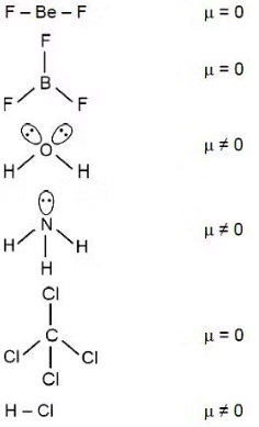 Amongst BeF2, BF3, H2O, NH3, CCl4 and HCl, 