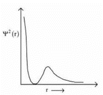 Which of the following is the correct plot for the probability density