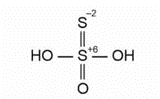 In H2S2O3, sulphur exhibits two different oxidation states