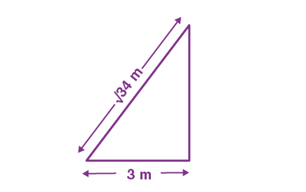 A √(34)m long ladder weighing 10kg