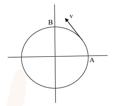 A particle is moving with constant speed in a circular path. 