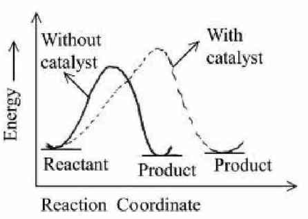 profile diagram for a positive catalyst reaction