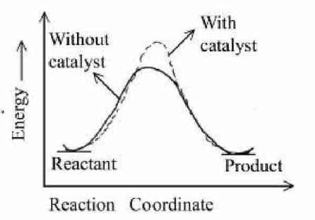 profile diagram for a positive catalyst reaction