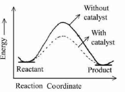 profile diagram for a positive catalyst reaction