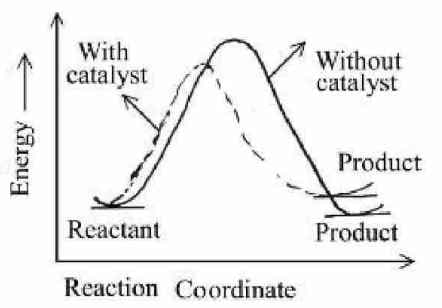 profile diagram for a positive catalyst reaction