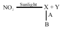 photochemical smog formation