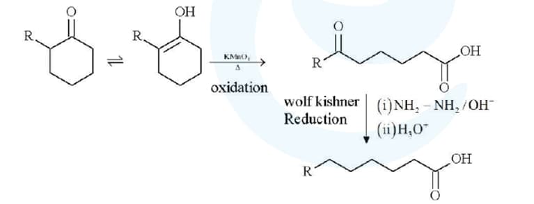  allyl group to a carboxylic acid group