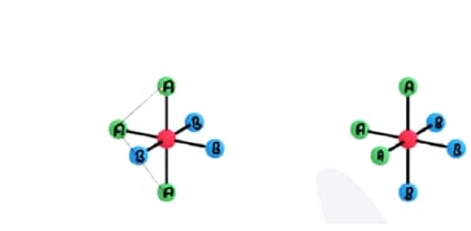  Facial and meridional isomerism