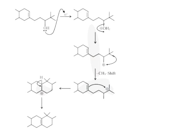 Protonation of the alcohol