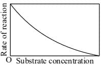 The variation of the rate of an enzyme catalyzed reaction with substrate concentration is correctly represented by graph