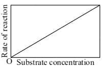 The variation of the rate of an enzyme catalyzed reaction with substrate concentration is correctly represented by graph
