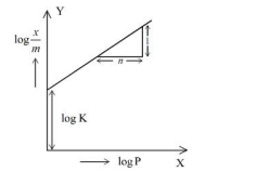 straight line