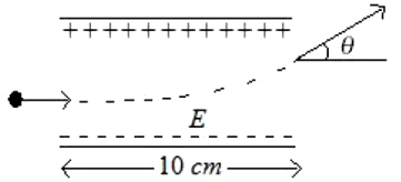 A uniform electric field of 10N/C is created between two parallel charged plates