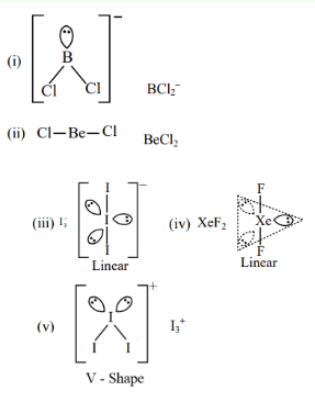 Species having linear shape