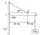 An object of mass 8 kg is hanging from one end of a uniform rod CD of mass 2 kg and length