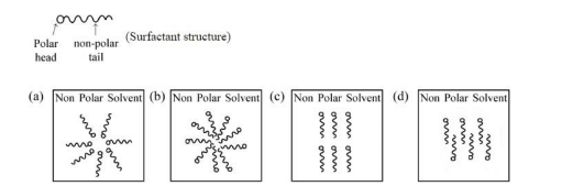 the micelles structure
