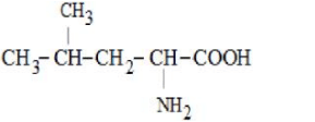 amino acid