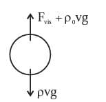 rho