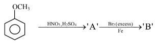 Chemical Reaction