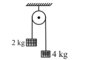 Weight