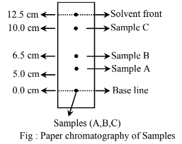 Paper chromatography
