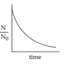 bacterial growth in a cell culture