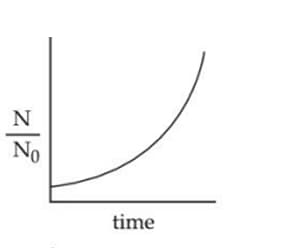 bacterial growth in a cell culture