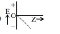  most appropriate representation of E vs Z plot for a constant n