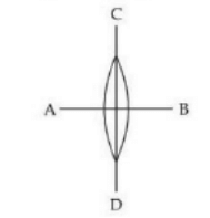 A symmetric thin biconvex lens is cut into four equal