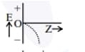  most appropriate representation of E vs Z plot for a constant n