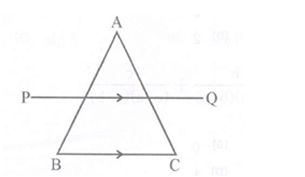  line PQ is parallel to line BC of △ABC