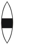 convex lens with the central portion of the lens wrapped in black paper