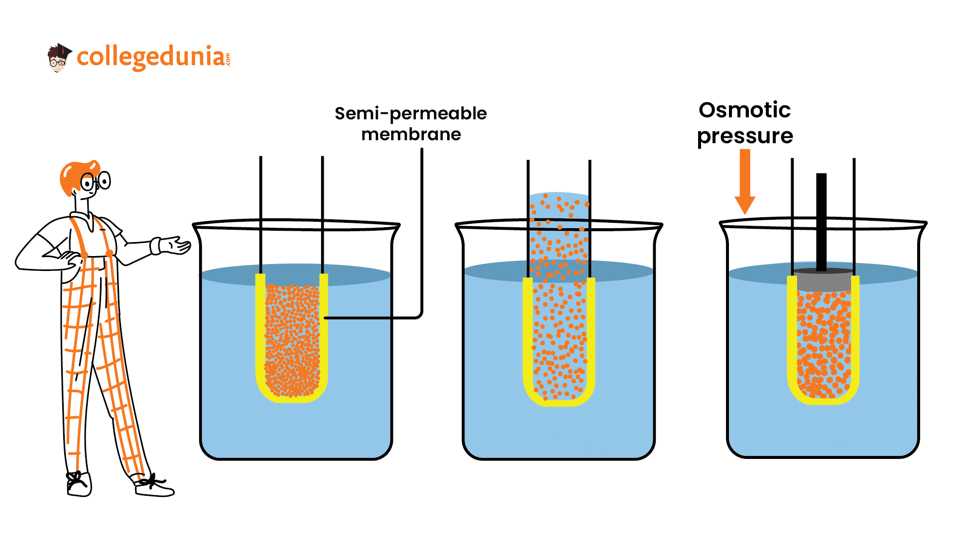 Osmotic Pressure