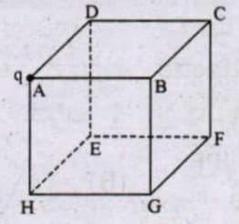 A point charge 'q' is placed at the corner of a cube