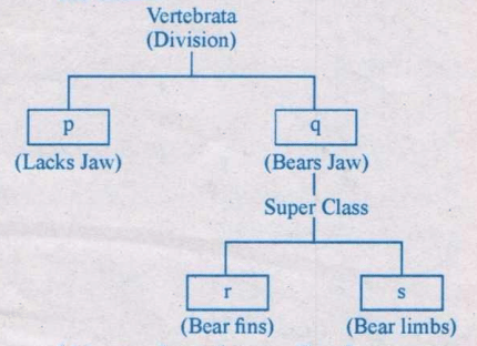 simplified scheme
