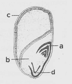 identify the parts labelled as a,b,c and d