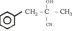 Option C
