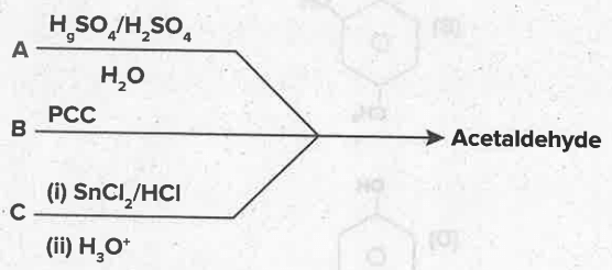 Chemical Equation