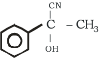 Option B