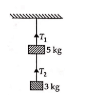 Two masses of 5 kg and 3 kg