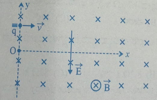 Electric Field