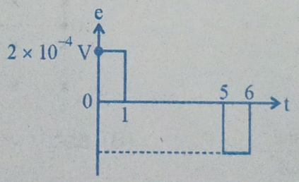 Option D