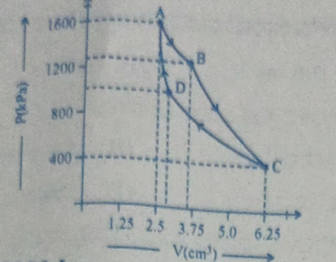 P-V diagram of a Carnot's Engine